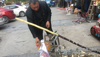 廣西糖廠食安事件折射產(chǎn)業(yè)短板 甘蔗清洗與空氣凈化設備研發(fā)亟待加強